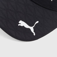 AMF1 RP Team BB Cap - black