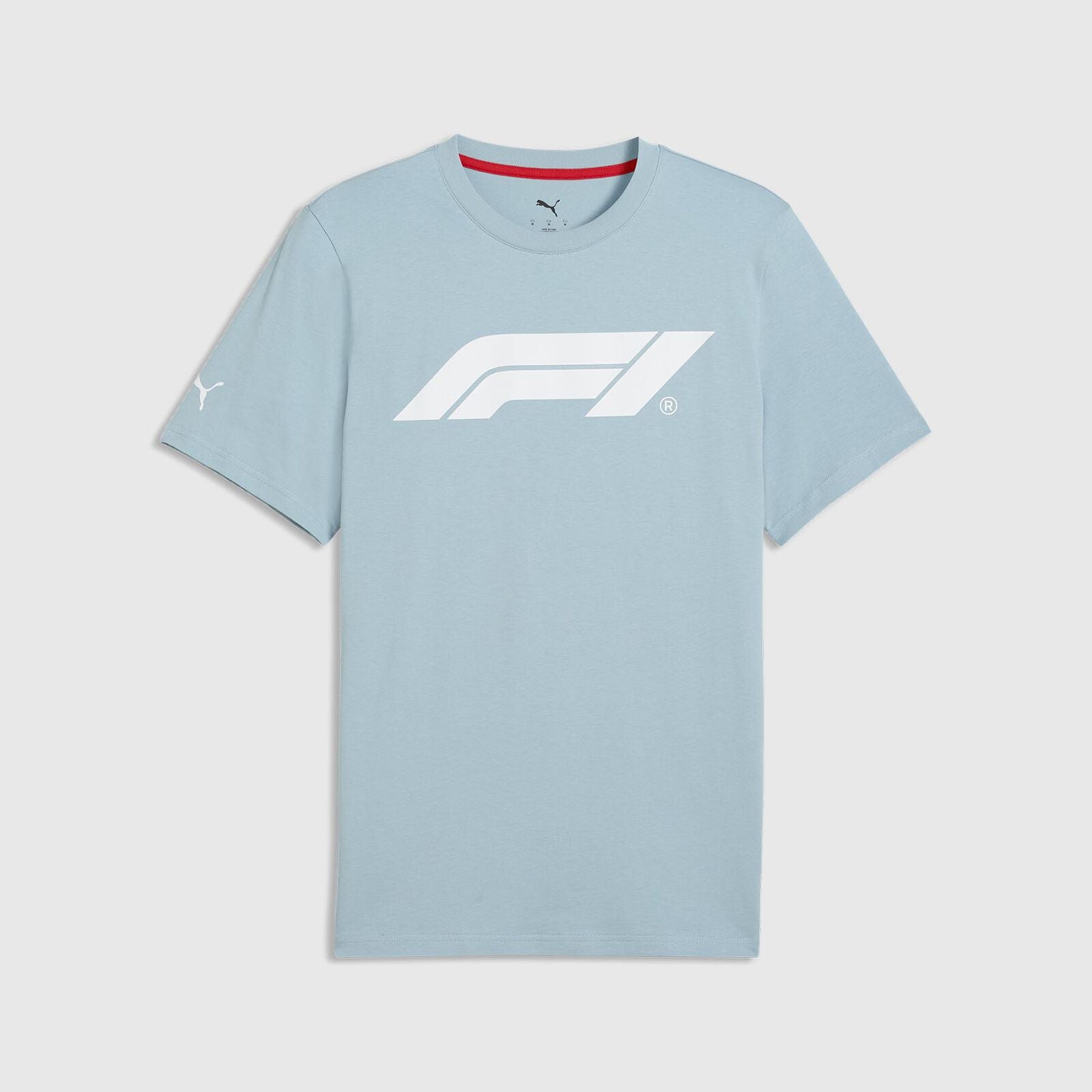 F1 FW Logo Tee - Seafoam