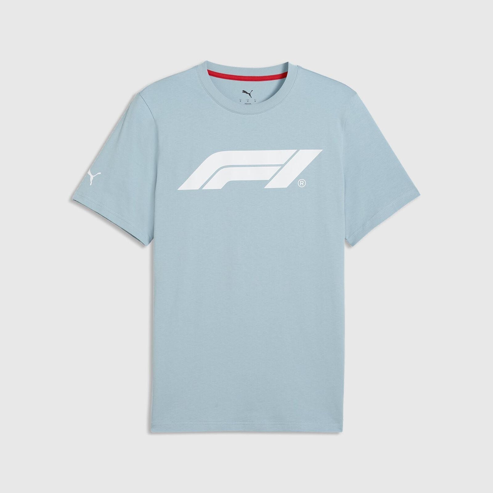F1 FW Logo Tee - Seafoam