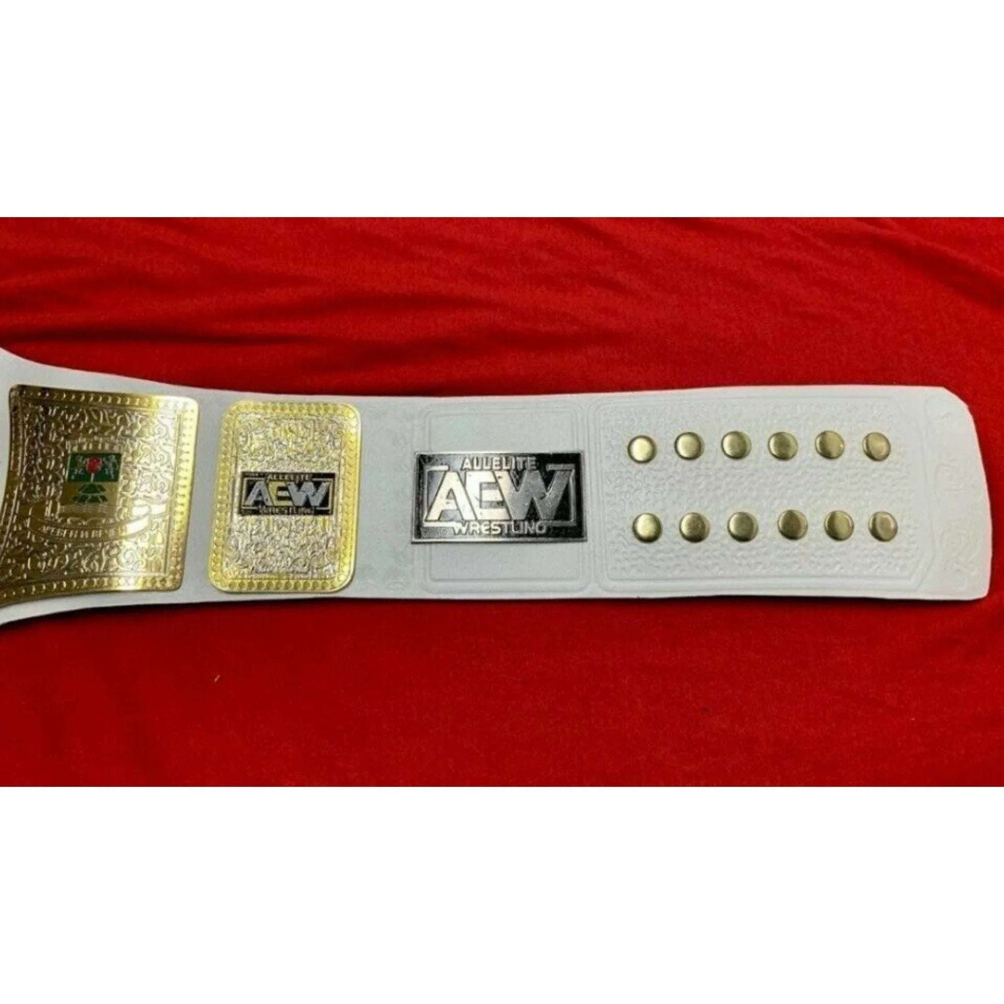 AEW TNT Championship Inspired Title Belt - 6 | Dash Racegear