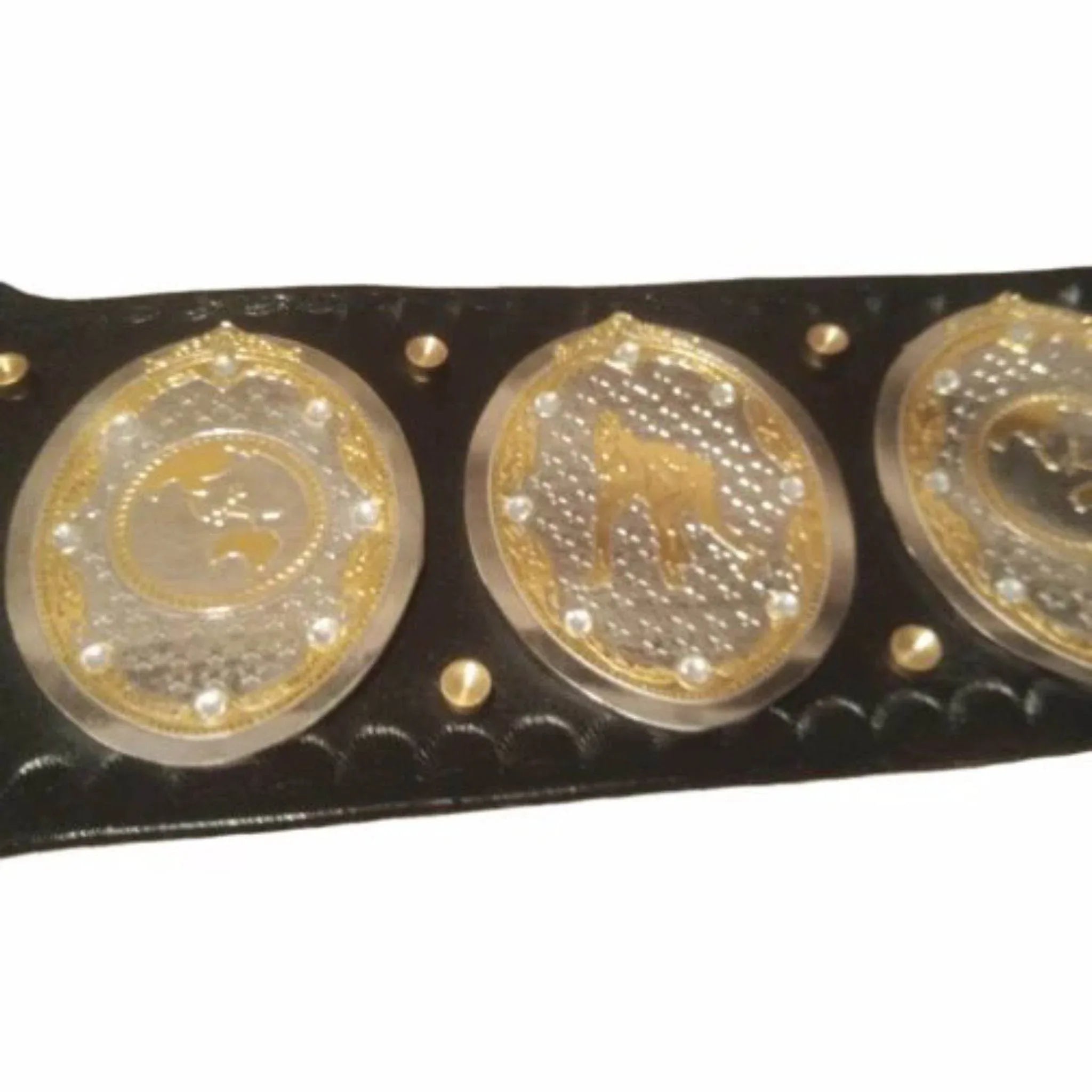 AEW Women's World Championship Inspired Title Belt - 2 | Dash Racegear