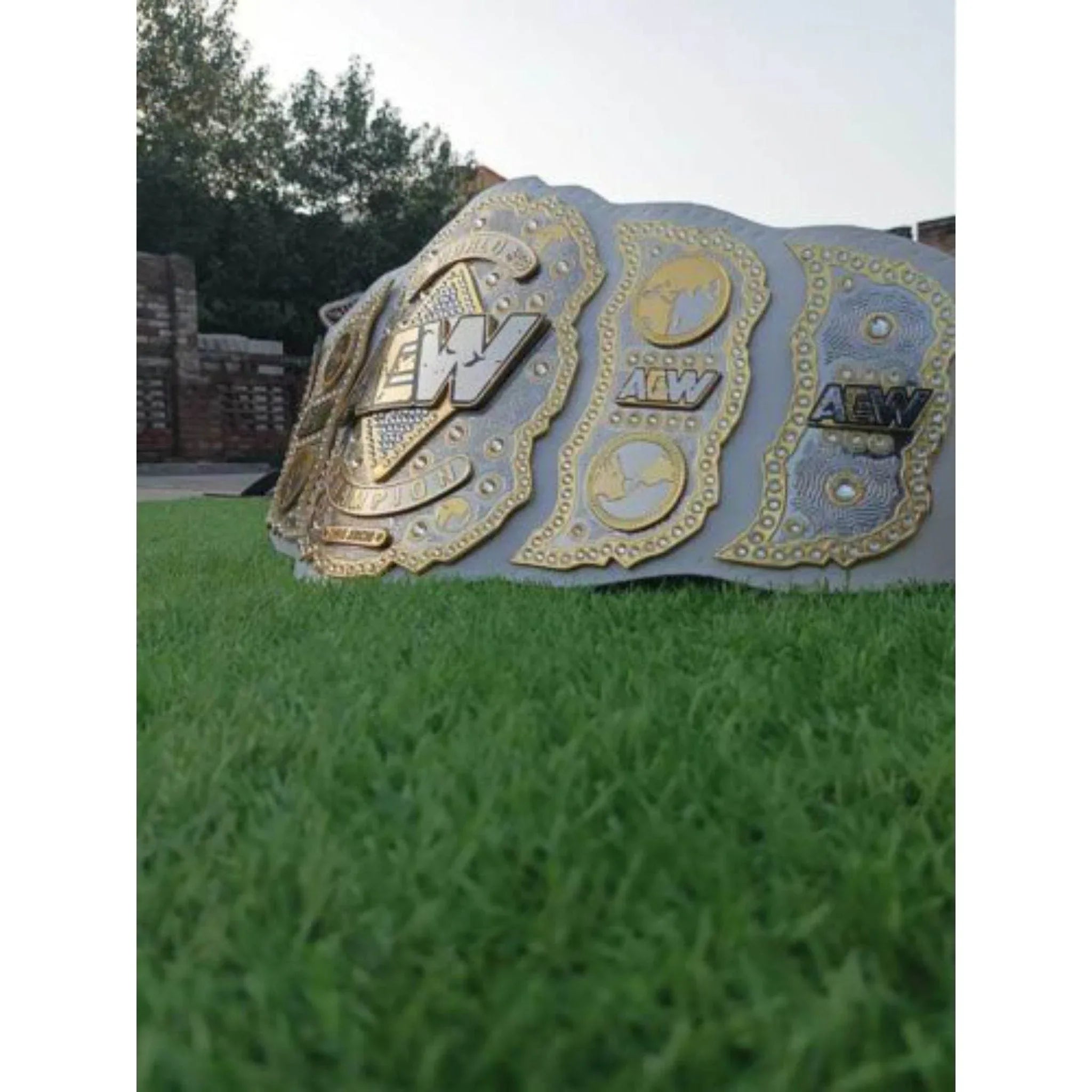 AEW World Wrestling Championship Inspired Title Belt - 4 | Dash Racegear
