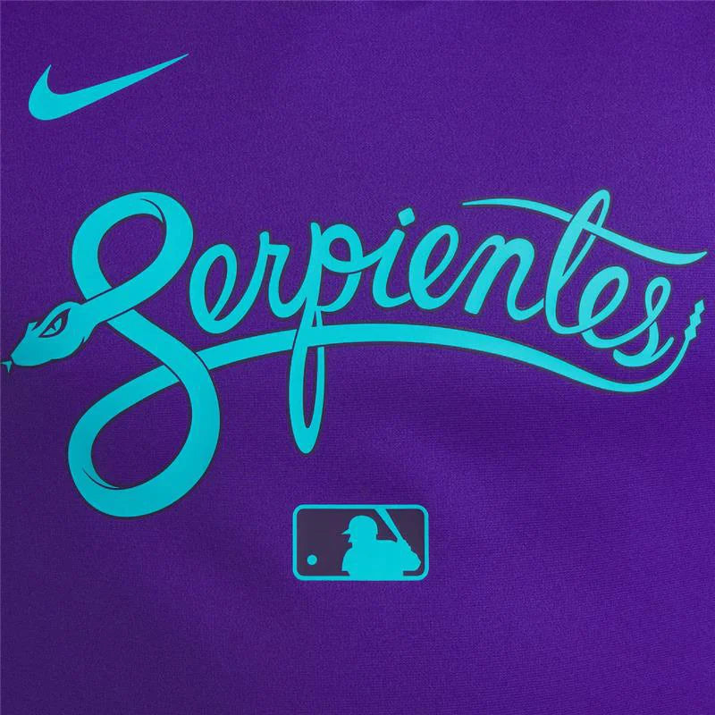 Arizona Diamondbacks Nike Purple 2025 City Connect Hoodie Hoodie unisex detail view 4 | Dash Racegear — Arizona Diamondbacks 2025 Nike Hoodie – City Connect Purple Design