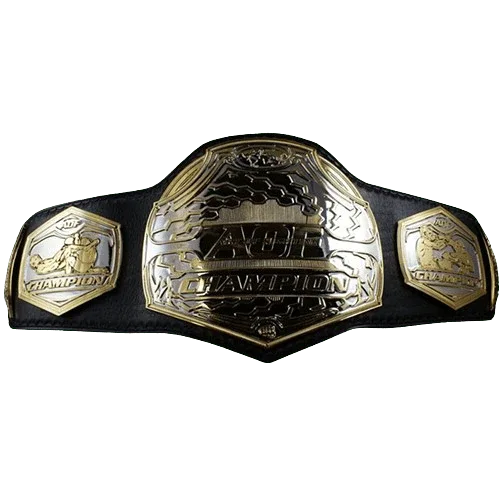 MMA Art of Champion Fighting Championship Belt - 1 | Dash Racegear