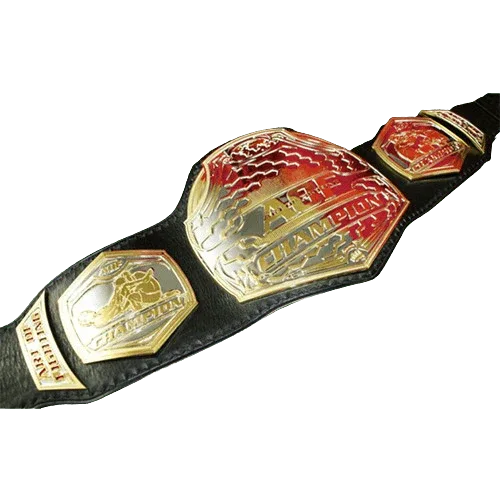 MMA Art of Champion Fighting Championship Belt - 2 | Dash Racegear
