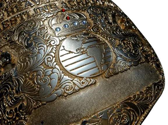 Big Gold Championship Belt - 5 | Dash Racegear