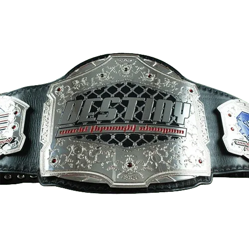 Destiny MMA Championship Belt - 1 | Dash Racegear