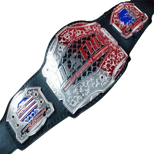 Destiny MMA Championship Belt - 2 | Dash Racegear