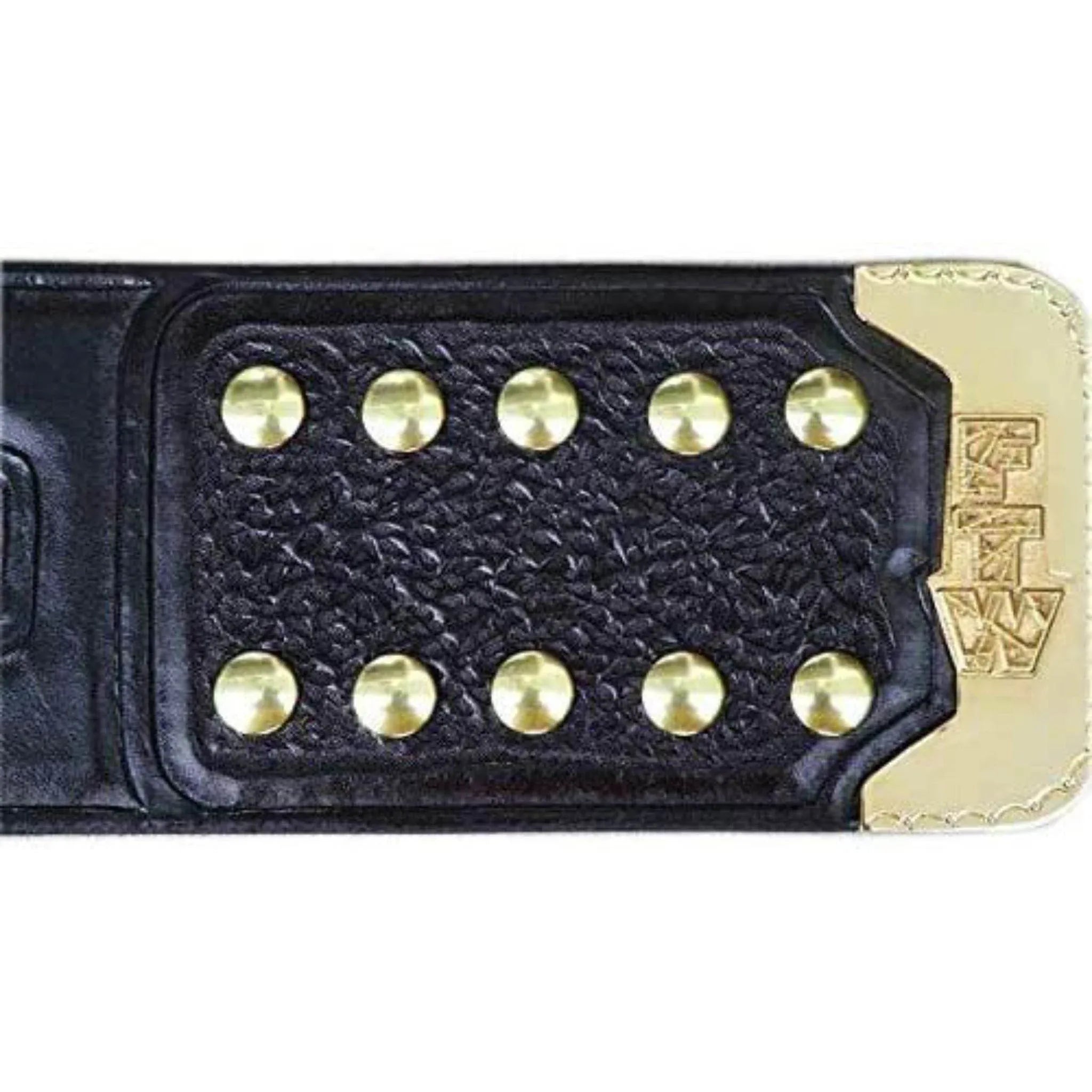 ECW World Heavyweight Championship Inspired Title Belt - 8 | Dash Racegear