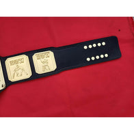 ECW World Tag Team Championship Inspired Title Belt - 10 | Dash Racegear