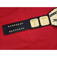 ECW World Tag Team Championship Inspired Title Belt - 9 | Dash Racegear