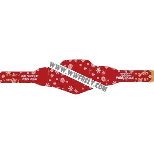 Happy Christmas Santa 2024 Special Gift Championship Belt - 2 | Dash Racegear