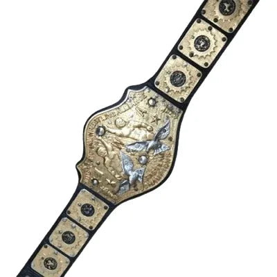 IWA International Wrestling Tag Team Championship Title Belt - 1 | Dash Racegear