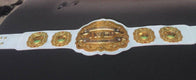 IWGP Intercontinental Championship Inspired Title Belt - 3 | Dash Racegear