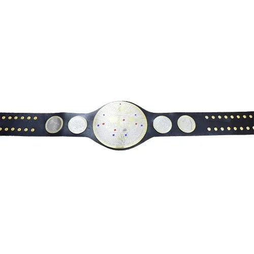 IWGP Tag Team Championship Belt - 2 | Dash Racegear