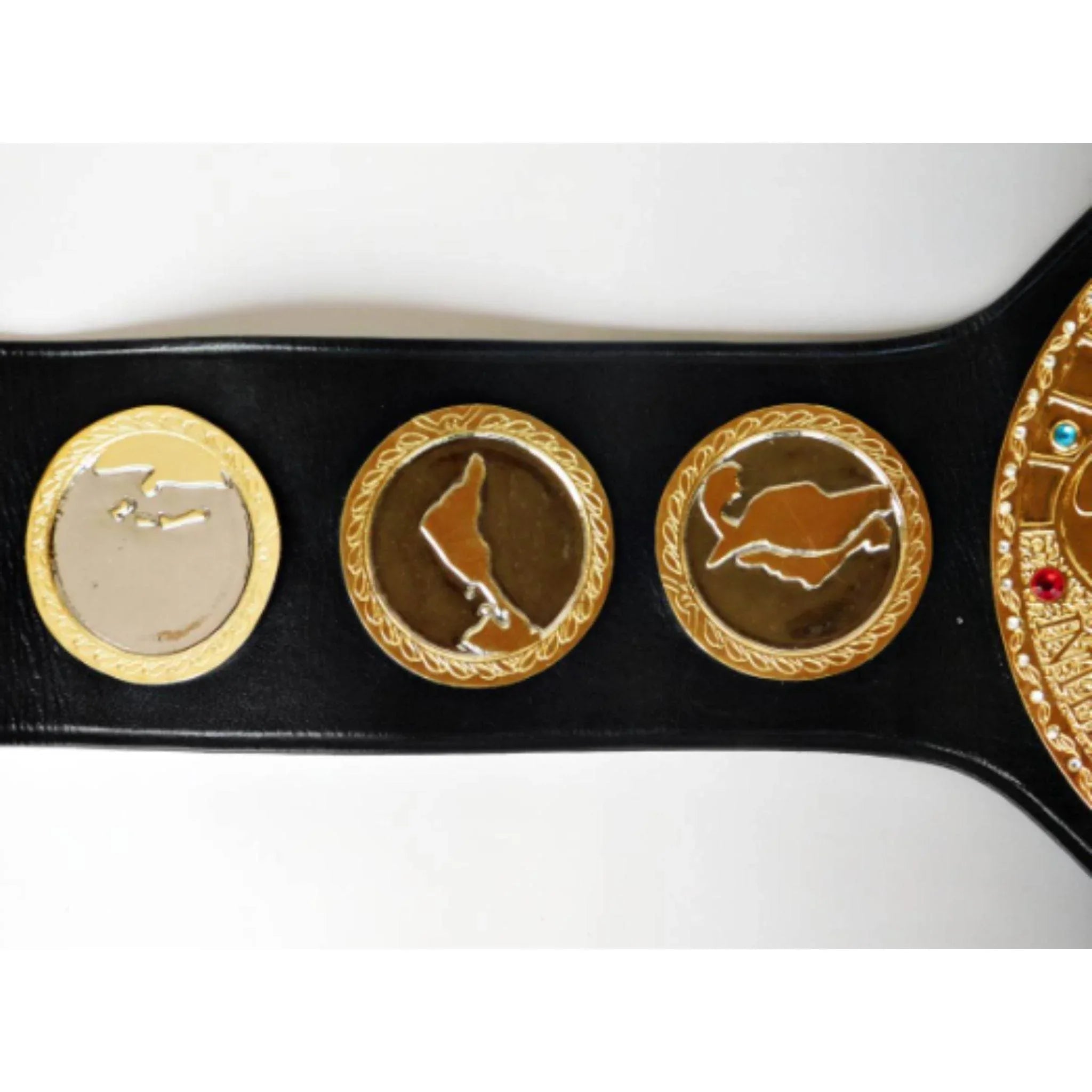 IWGP V1 Series Wrestling Heavyweight Championship Title Belt - 5 | Dash Racegear