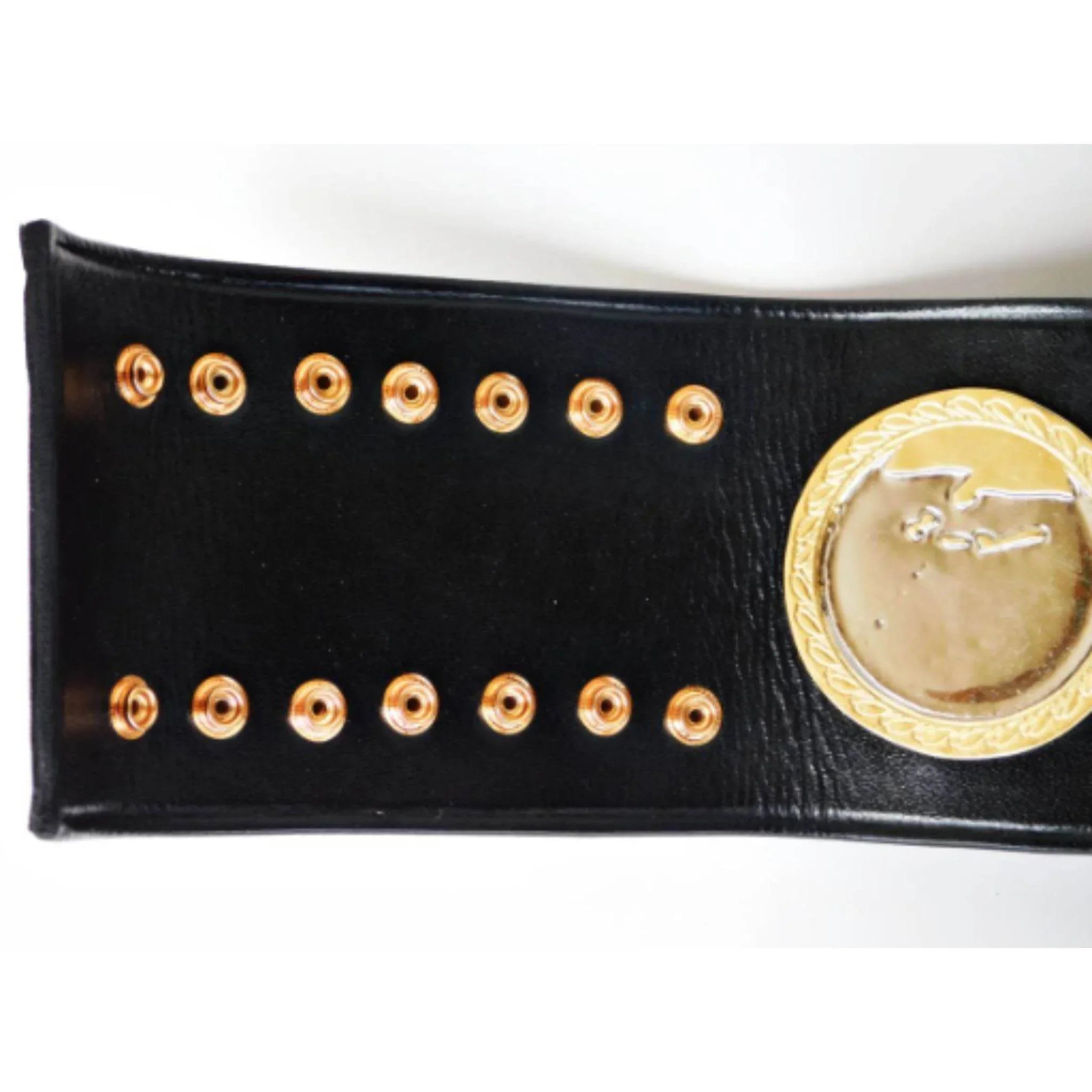IWGP V1 Series Wrestling Heavyweight Championship Title Belt - 7 | Dash Racegear