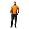 Mens Official Teamwear Polo Shirt Formula 1 - Dash Racegear Store