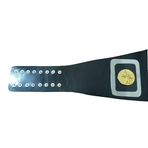 NWA Mike Jackson Championship Inspired Title Belt - 3 | Dash Racegear