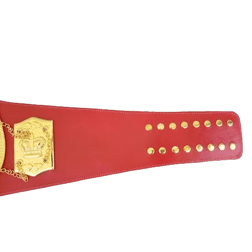 N.A.B.F 1973 Heavyweight Boxing Championship Title Belt - 3 | Dash Racegear