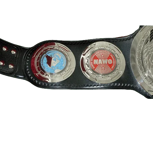 NAWO Mirror Image Tag Team Wrestling Championship Title Belts - 2 | Dash Racegear