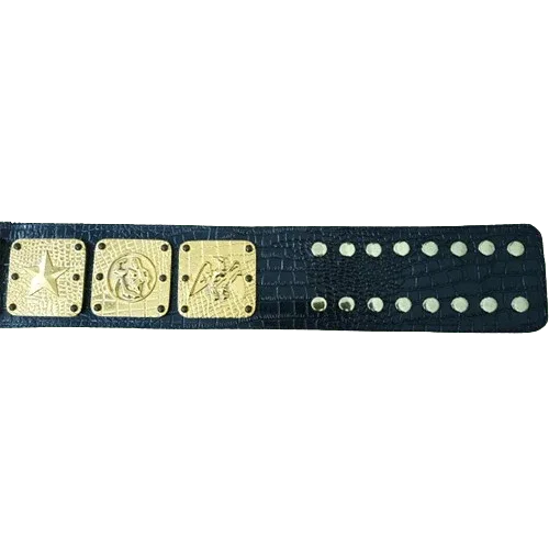 NWA Americas Heavyweight Wrestling Champion Belt - 3 | Dash Racegear