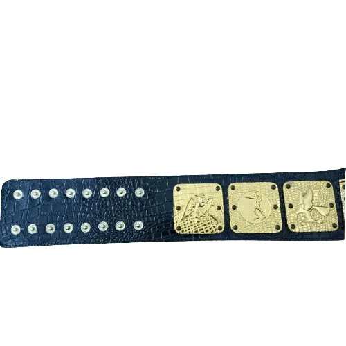 NWA Americas Heavyweight Wrestling Champion Belt - 2 | Dash Racegear