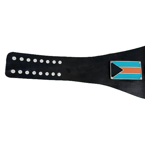 NWA Bahama Island Wrestling Heavyweight Champion Title Belt - 3 | Dash Racegear