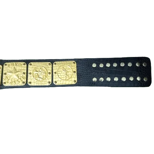 NWA Canadian Pacific Coast Classy Champion Inspired Title Belt - 3 | Dash Racegear