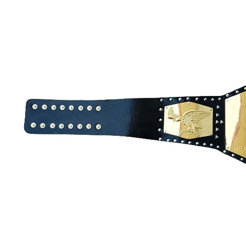 NWA Detroit United States Heavyweight Championship belt - 3 | Dash Racegear
