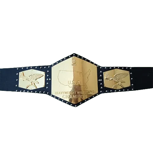 NWA Detroit United States Heavyweight Championship belt - 1 | Dash Racegear