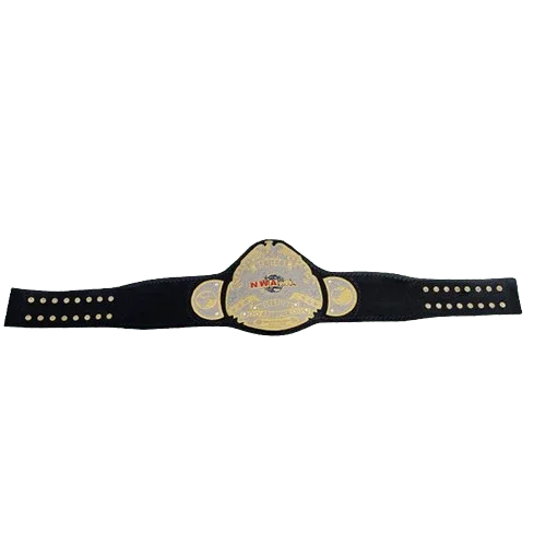 NWA Heritage title Wrestling Champion Belt Sean Waltman X-Pac TJP - 2 | Dash Racegear