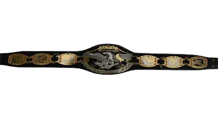NWA International Wrestling Tag Team Championship Belt - 2 | Dash Racegear