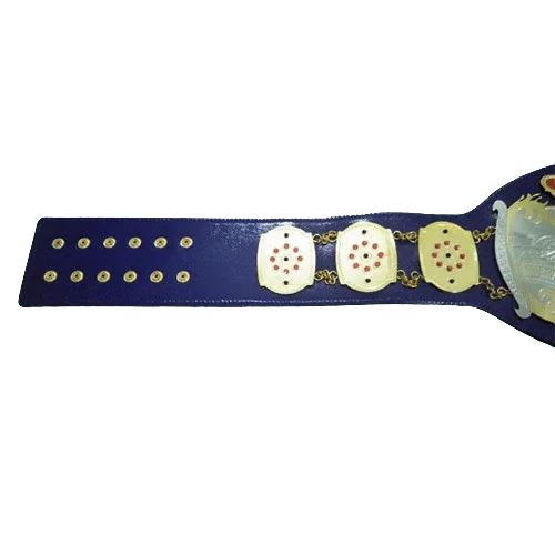 NWA Junior Heavyweight Inspired Championship Belt - 4 | Dash Racegear