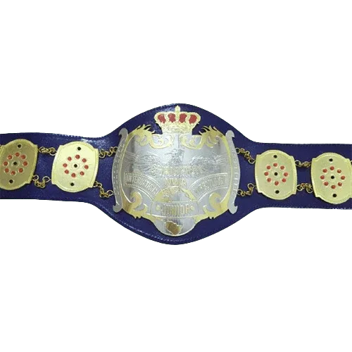 NWA Junior Heavyweight Inspired Championship Belt - 2 | Dash Racegear