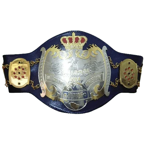 NWA Junior Heavyweight Inspired Championship Belt - 1 | Dash Racegear