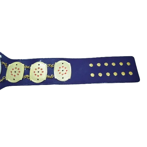 NWA Junior Heavyweight Inspired Championship Belt - 3 | Dash Racegear
