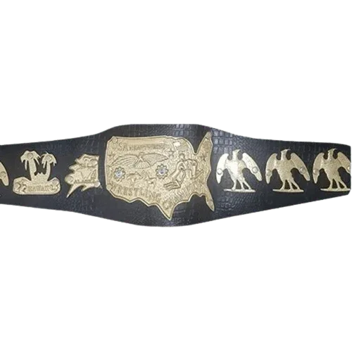 NWA Mid-Atlantic USA Heavyweight Wrestling Title Champion Belt - 1 | Dash Racegear