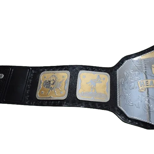 NWA National Heavyweight Championship Title Belt - 4 | Dash Racegear