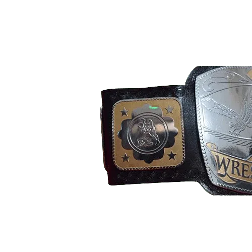 NWA National Tag Team Championship Title Inspired Belt - 3 | Dash Racegear