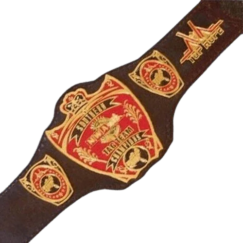 NWA Southern Tag Team Champion Belt Old Championship USA Top - 1 | Dash Racegear