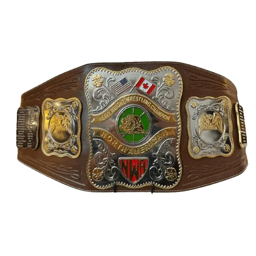 NWA Stampede North American Heavyweight Championship Belt - 1 | Dash Racegear