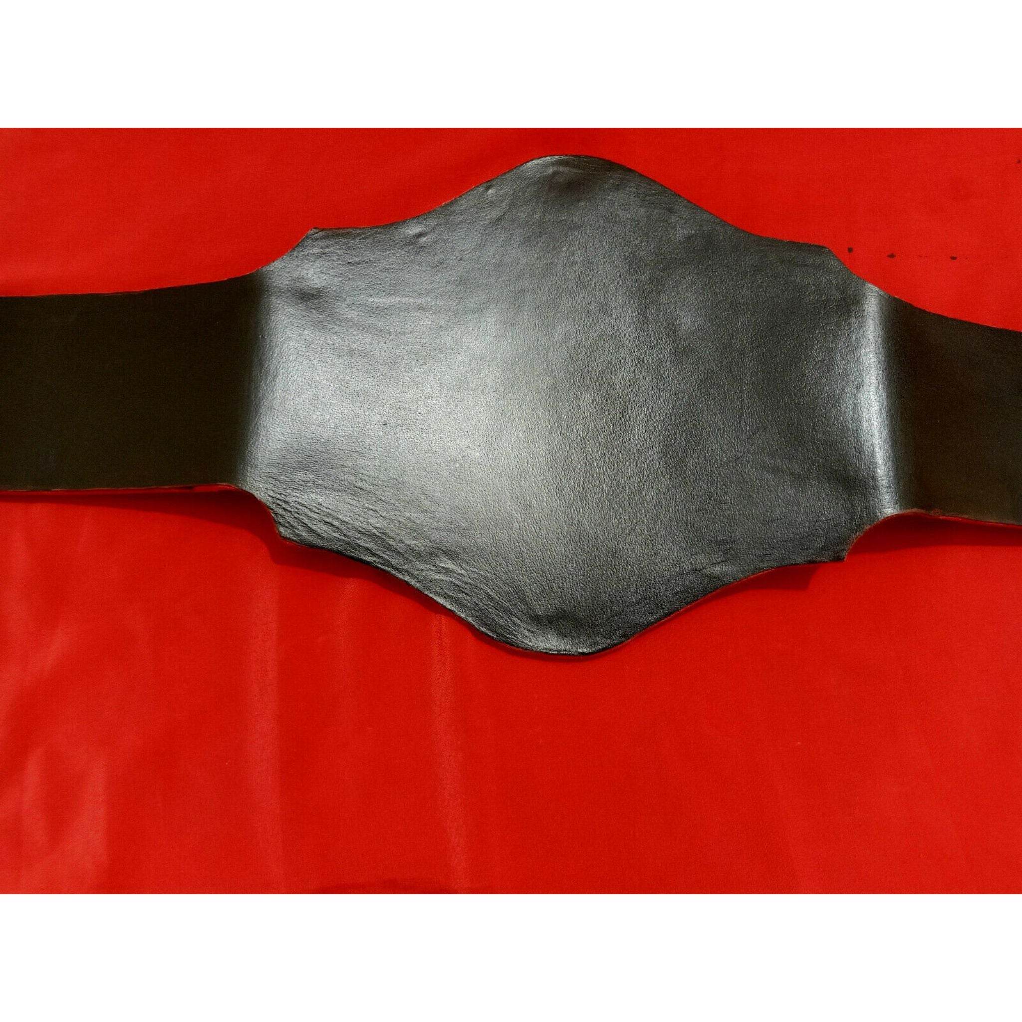 NWA World Television Championship Inspired Title Belt - 3 | Dash Racegear