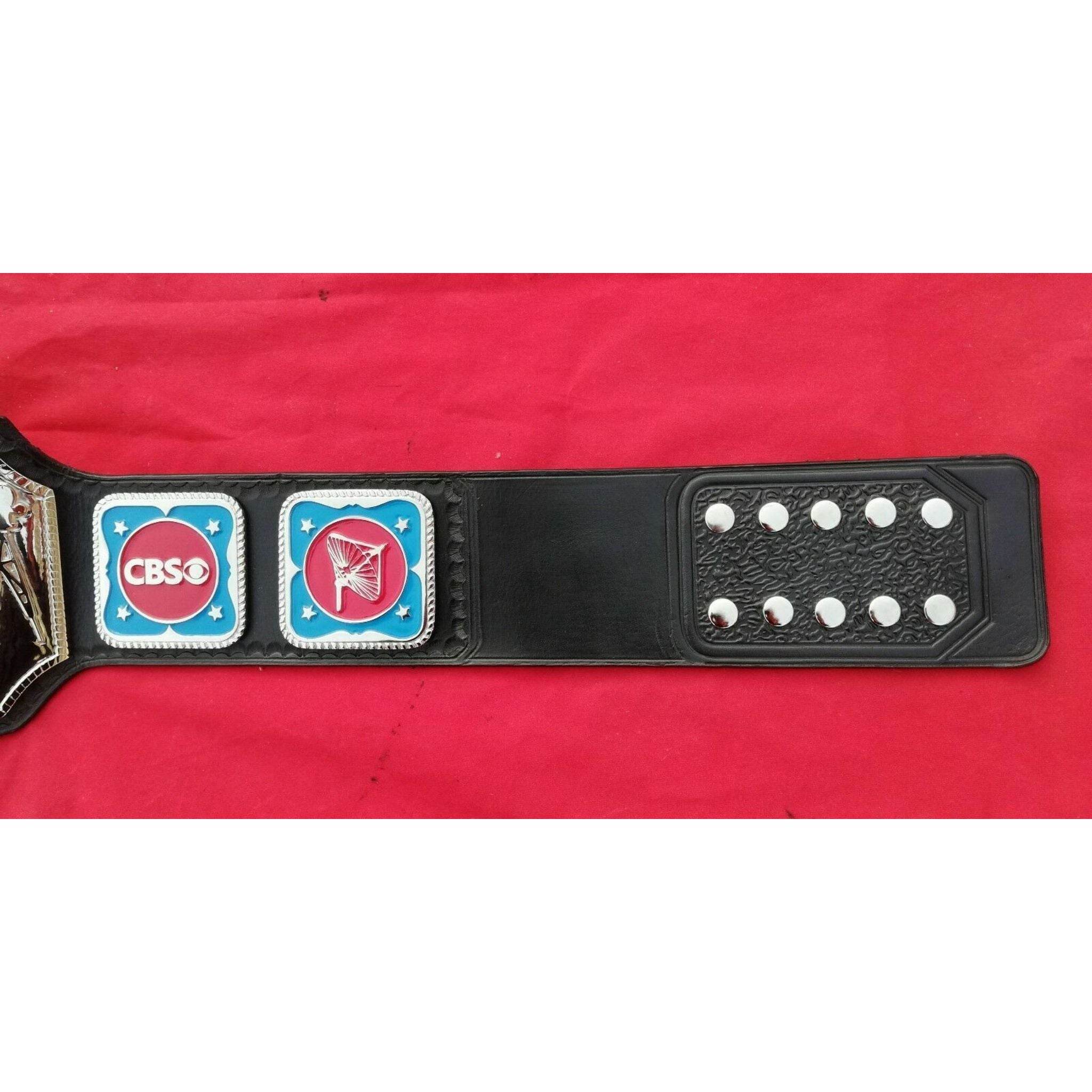 NWA World Television Championship Inspired Title Belt - 6 | Dash Racegear