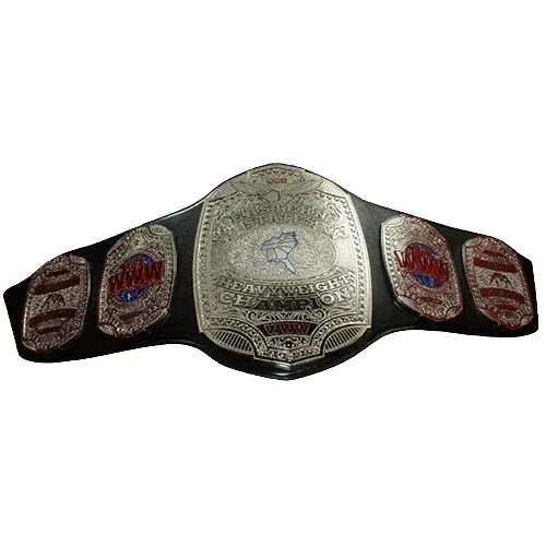 NWA WWW Eastern States Heavyweight Championship belt - 1 | Dash Racegear