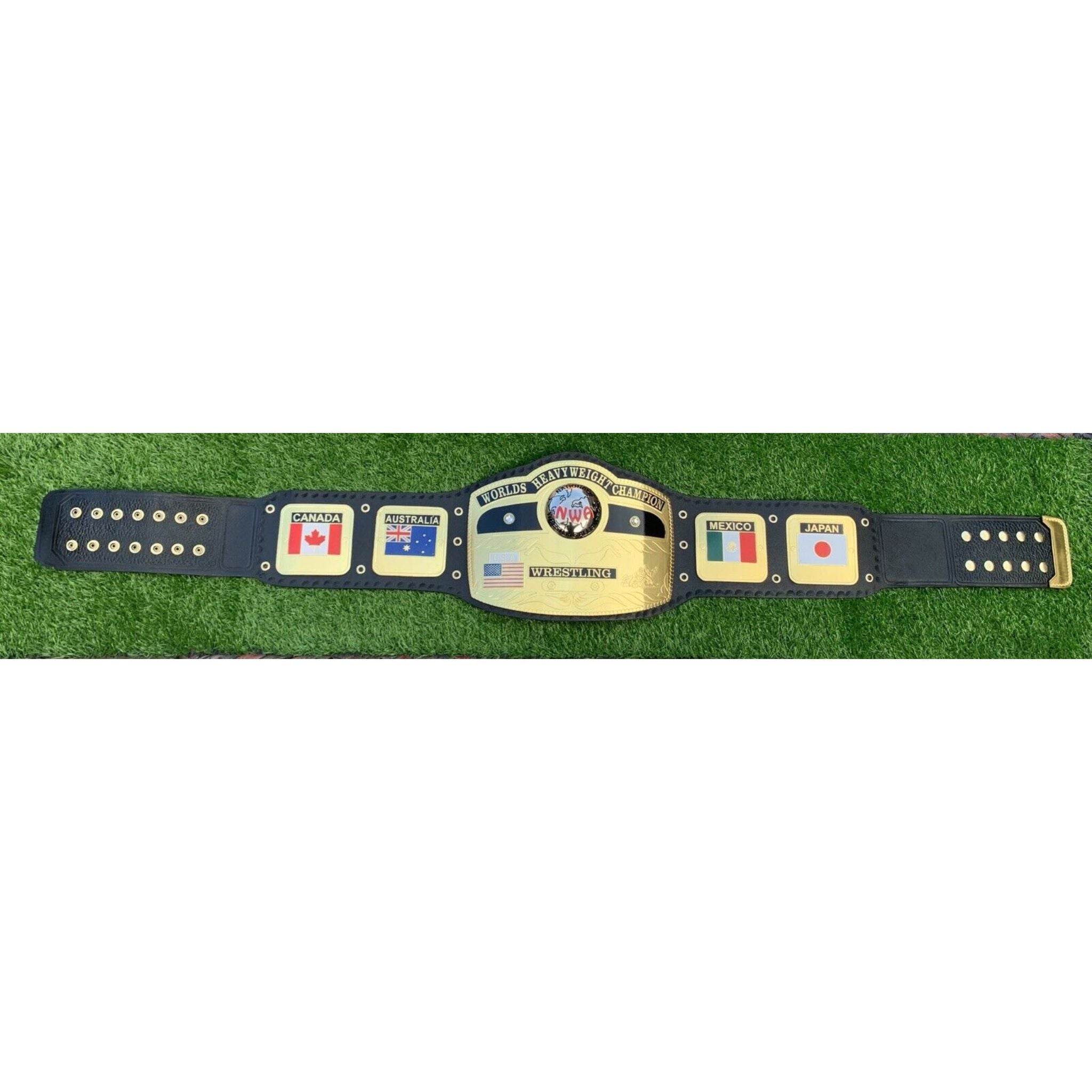NWA World Heavyweight Championship Inspired Title Belt - 6 | Dash Racegear