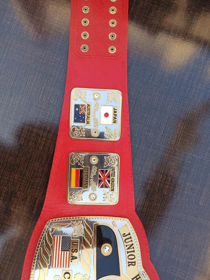 NWA World Junior Heavyweight Championship Inspired Title Belt - 11 | Dash Racegear