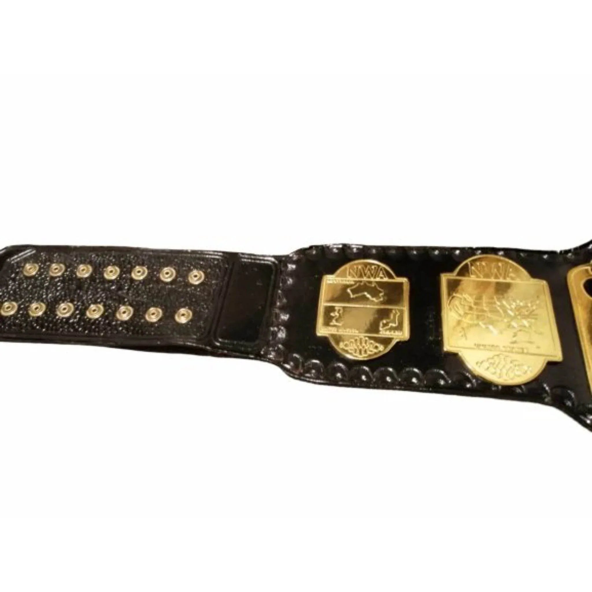 NWA world tag team championship belts Inspired Title Belt - 4 | Dash Racegear