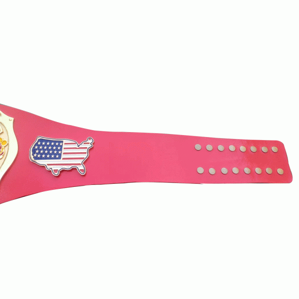 NWA Continental USA Heavyweight Wrestling Champion Belt - 2 | Dash Racegear