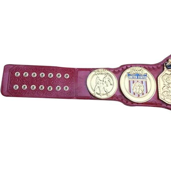 NWA USA Tag Team Wrestling Championship Belt - 2 | Dash Racegear